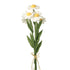 Heaven Sends Large Bunch Of White Felt Flower Stems