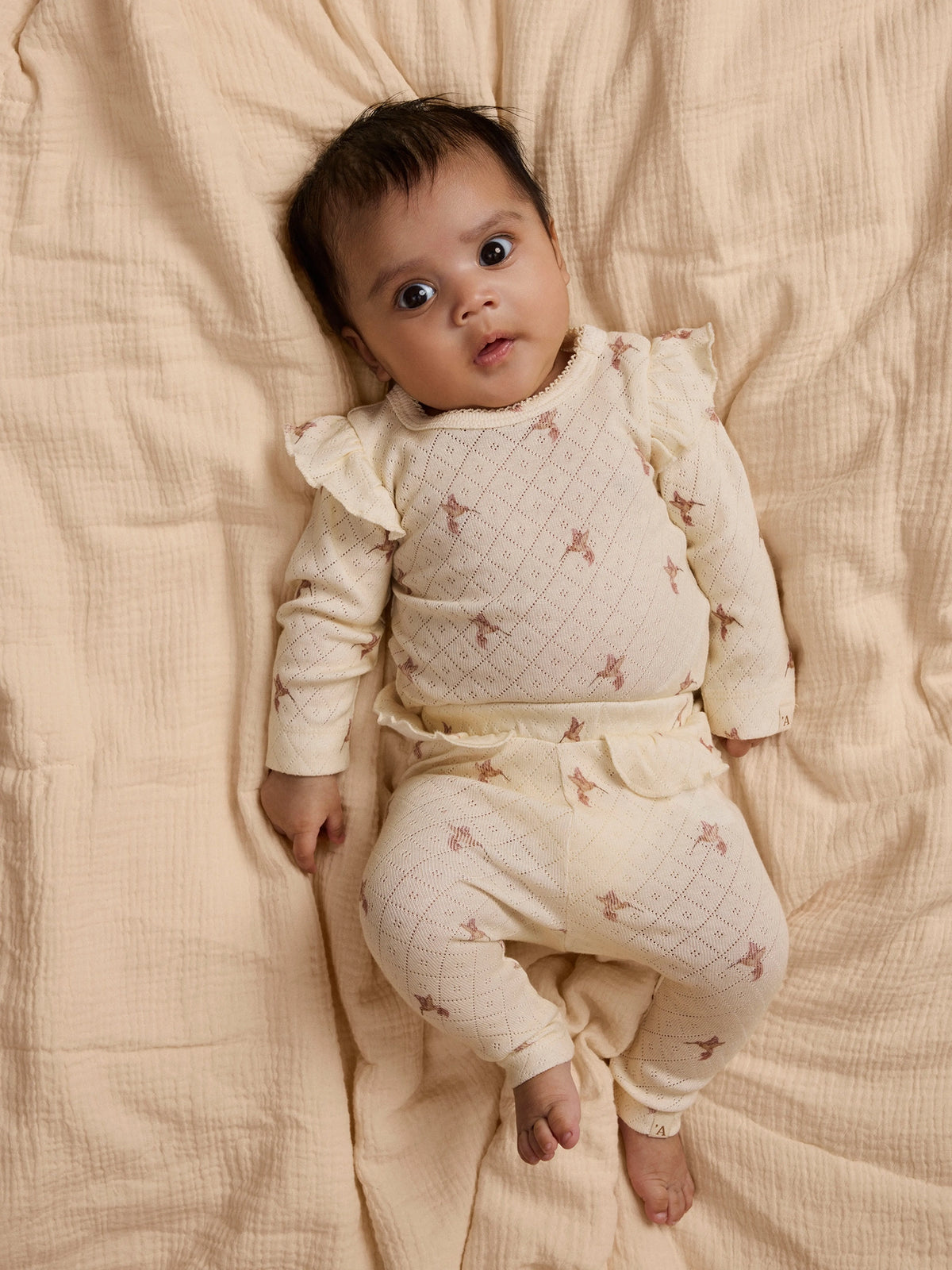 Lil’ Atelier Baby Rachello Hummingbird Frill Bodysuit