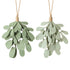 Heaven Sends Hanging Felt Mistletoe Mix