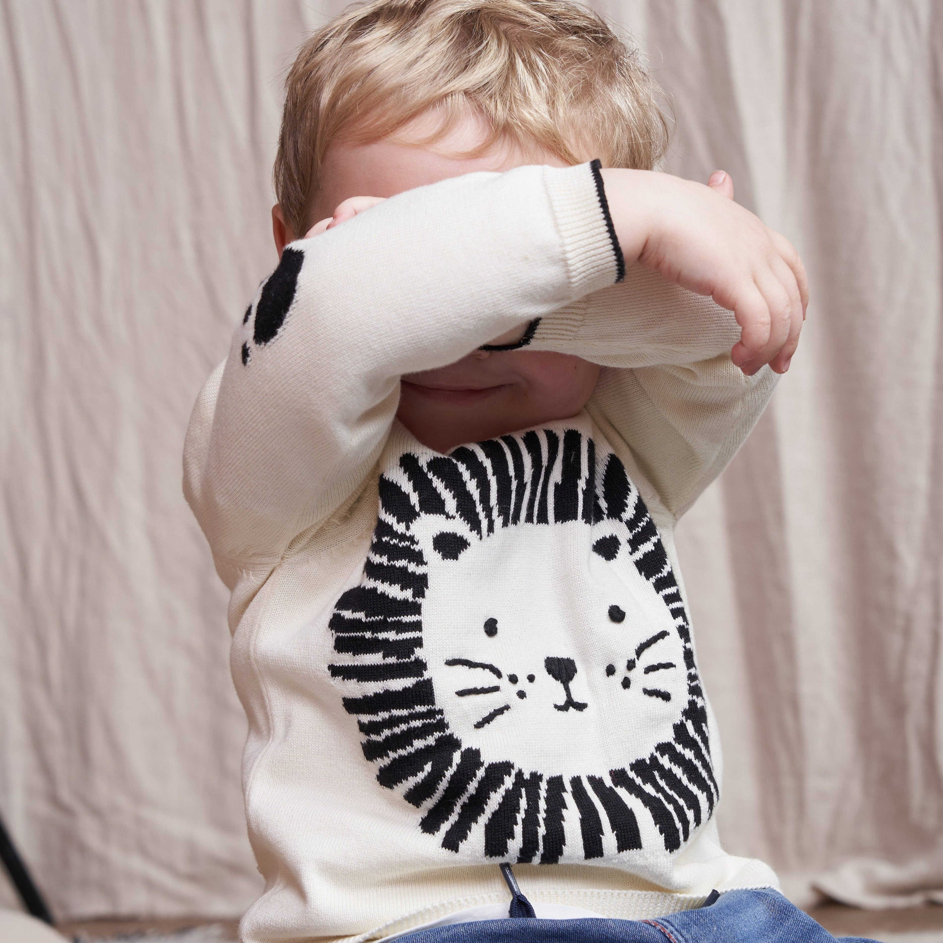 Fable & Bear Wild One Lion Organic Cotton Jumper