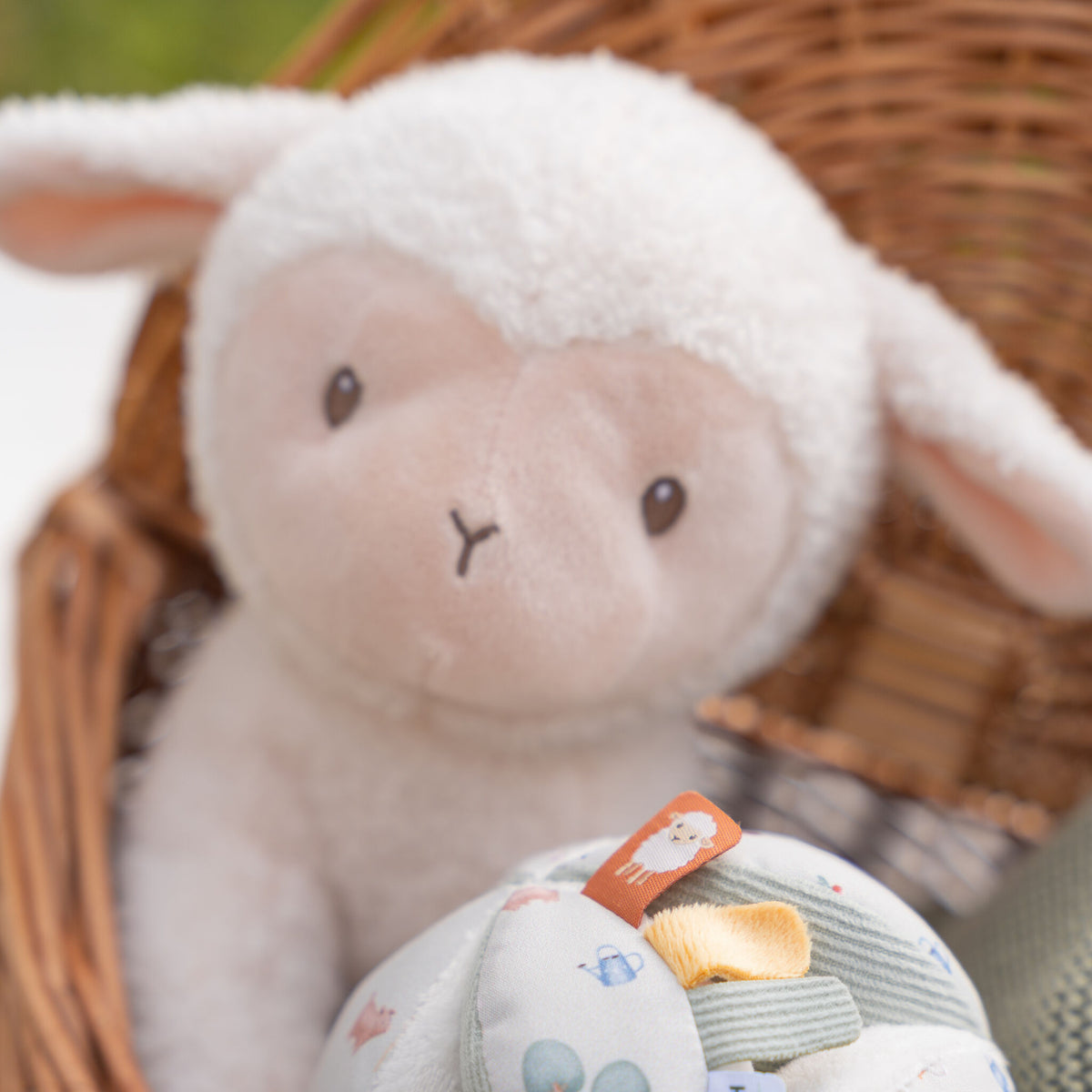 Cuddle Sheep 25Cm Little Farm