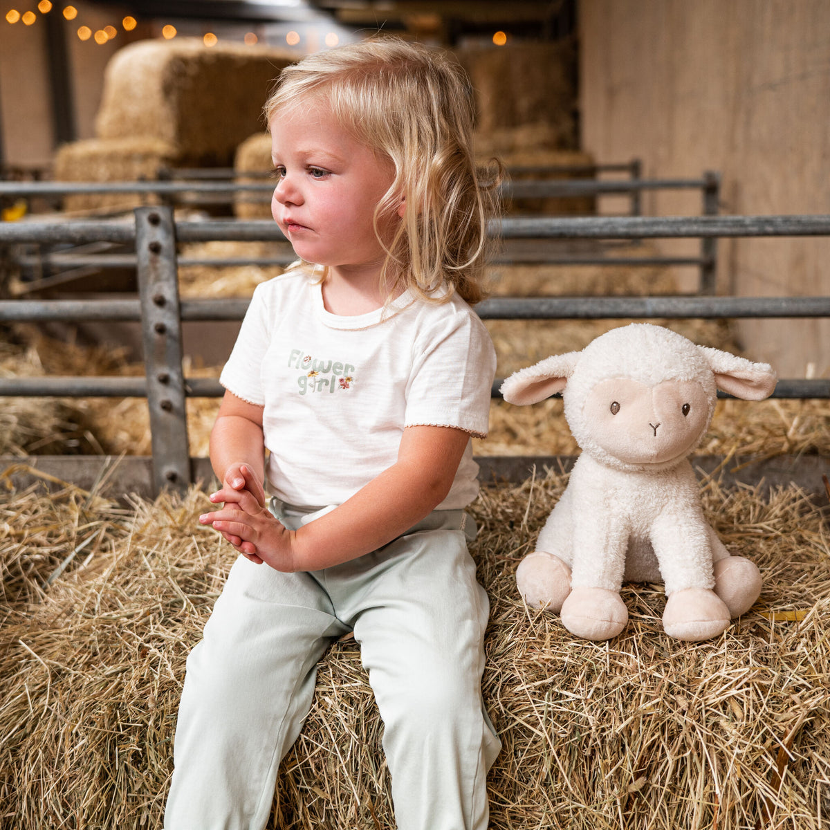 Cuddle Sheep 25Cm Little Farm