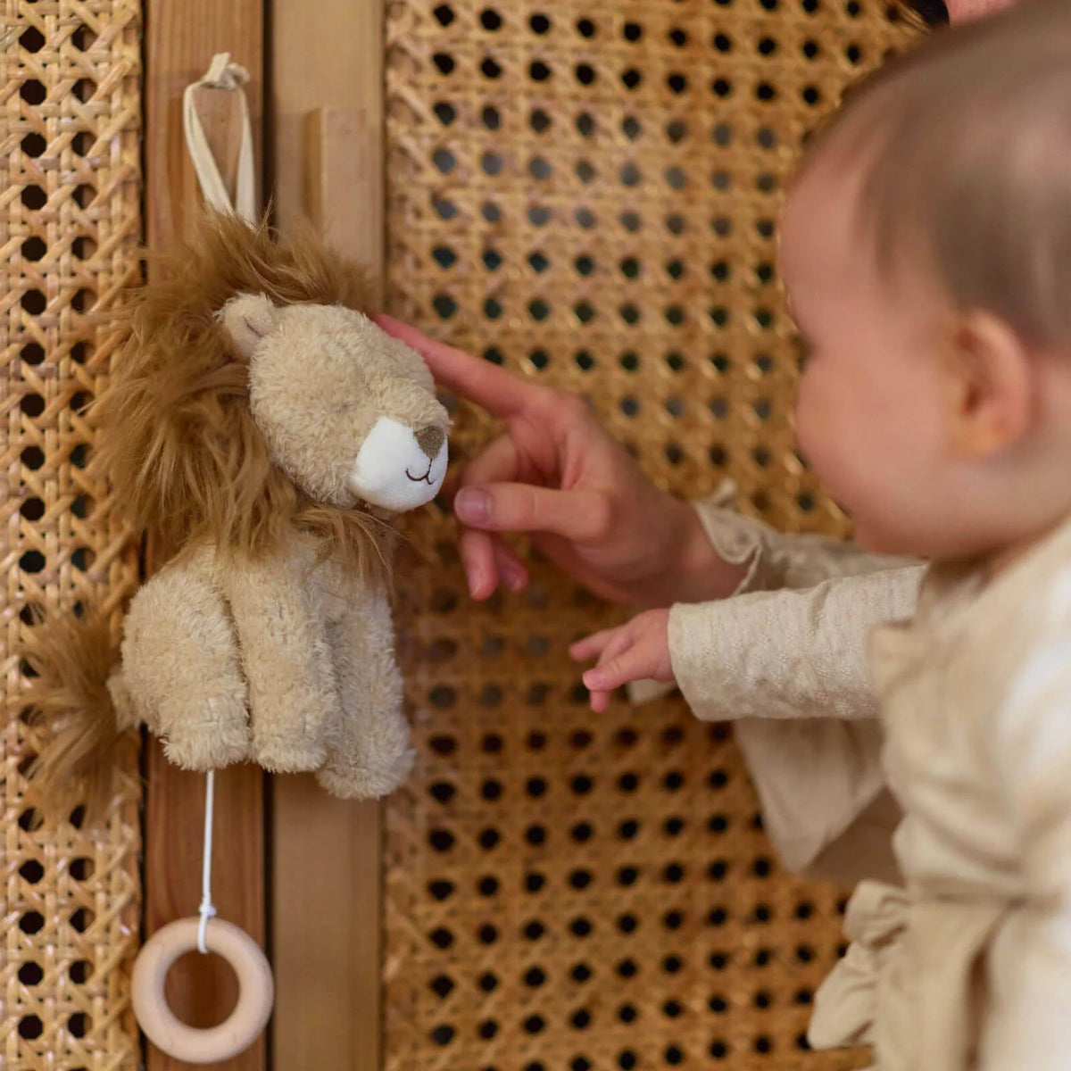 Little Dutch Lion Music Box – Safari Friends