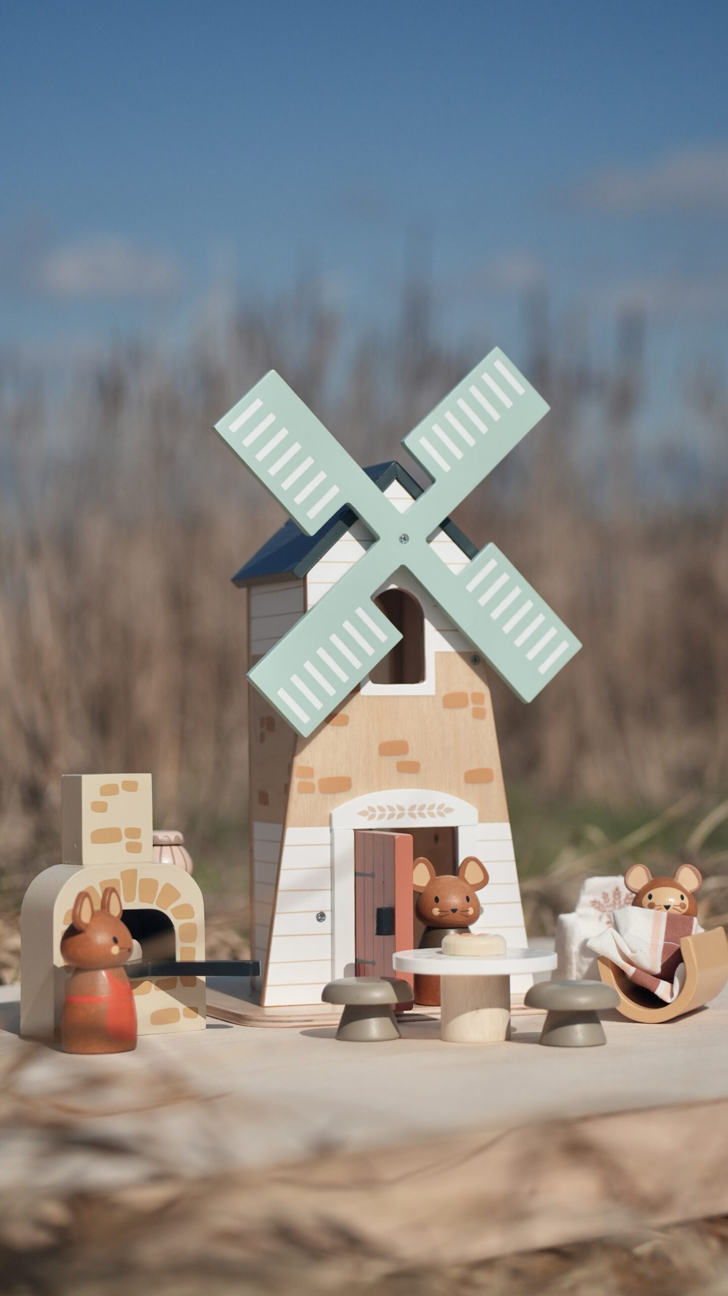 Penny Windmill - Image 9